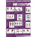 Chest Productive - Resistance Back, Laminated Fitness Biceps, and Legs, Tubing CRTLL Triceps