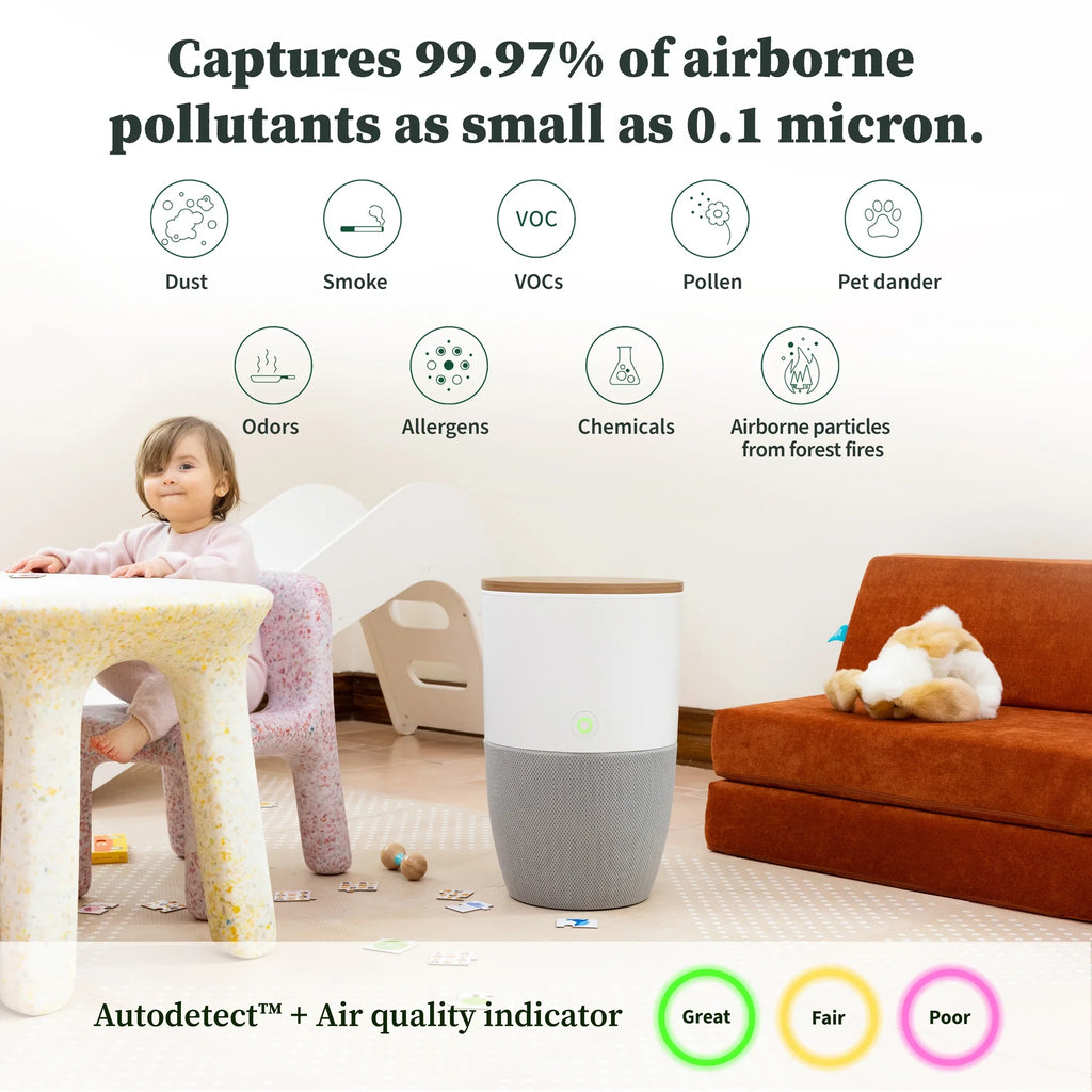 With Medical-Grade HEPA-13 | Smart Dupray Air Purifier Air Bloom™ Accent Walnut Filtration Table