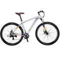 21 Speed,Dual Disc Eurobike Mountain Mountain Silver Mens 29 Adults Aluminum, Bicycle for 29er, 19 Bike, Multi-Spoke X9 inch Inches, Brakes, Bikes
