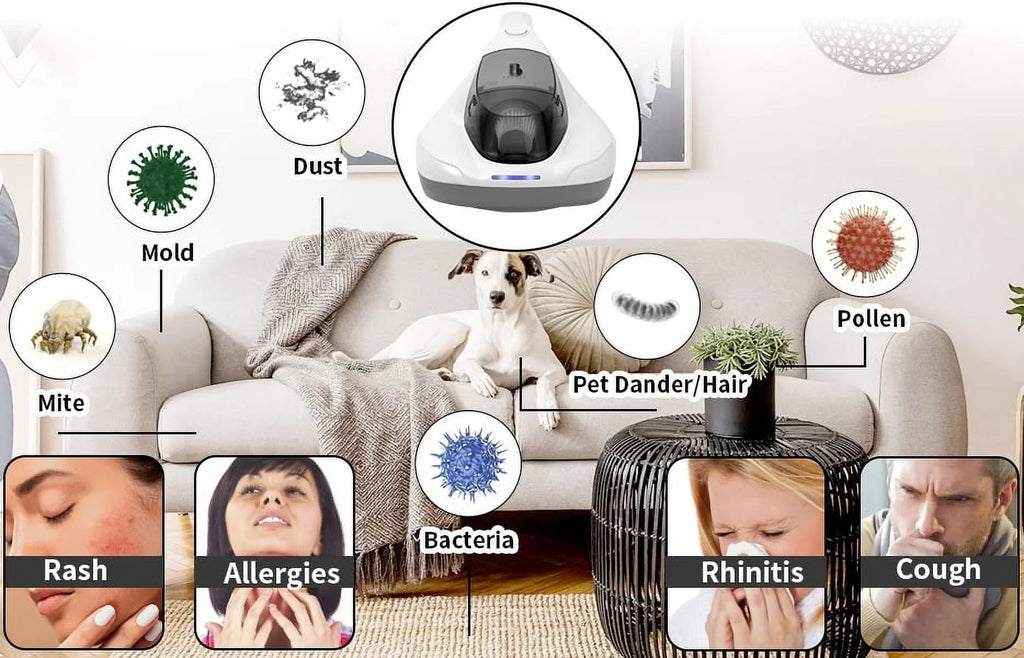 Allergens/Bacteria/Mite Cleaner Allergen with remove Large Handheld HEPA Pad&True Sanitizer Hair/Dust Pulsating Vacuum UV Kills