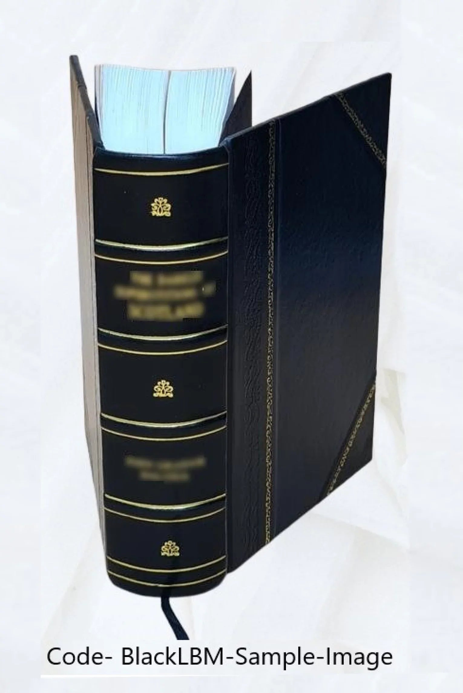 Volume Storia veronese, Giambatista trivigiana Verci 1791 e marca Bound] ... v.11-12 [Leather di della