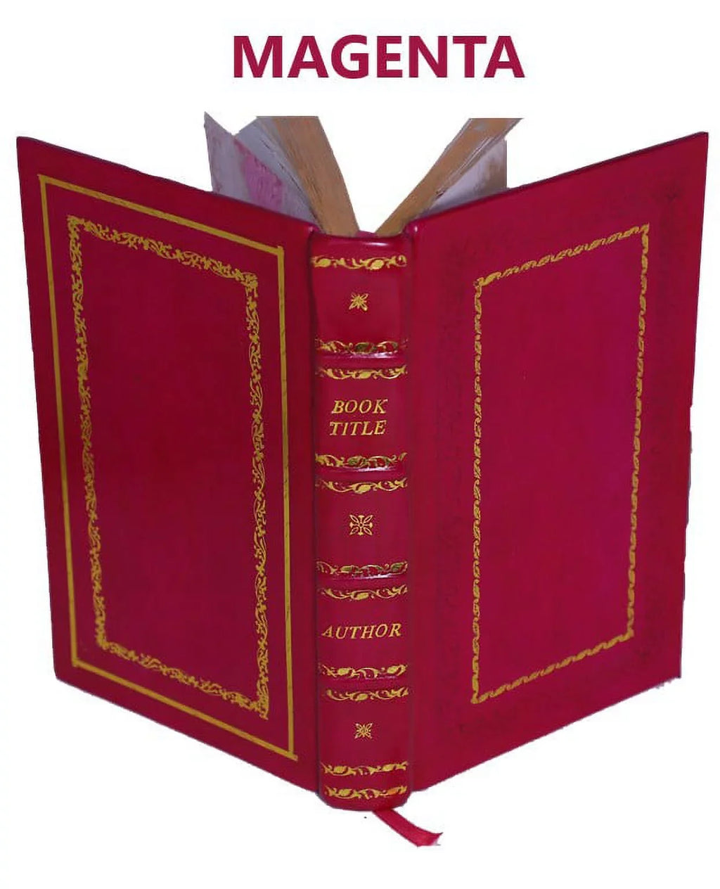 & Olao Gotho, [Premium Magno, archiepiscopo gentibus Leather primate Historia Suetiae 1562 authore de septentrionalibus Vpsalensi, Gothiae Bound]