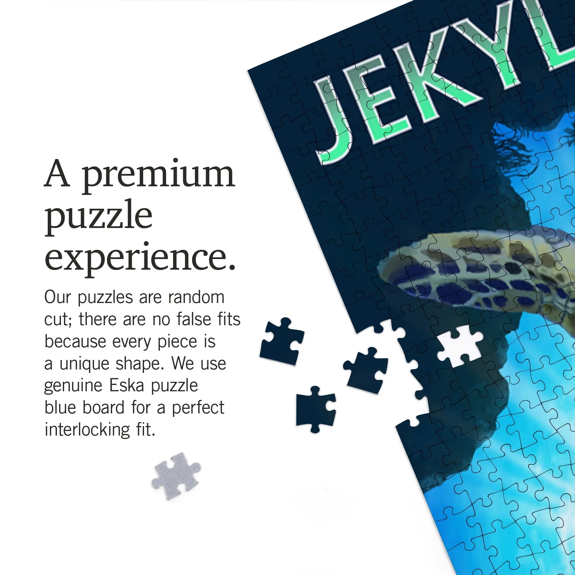 Puzzle, Turtle Jekyll Piece Island, Georgia, Diving Sea Jigsaw Press 1000 Lantern