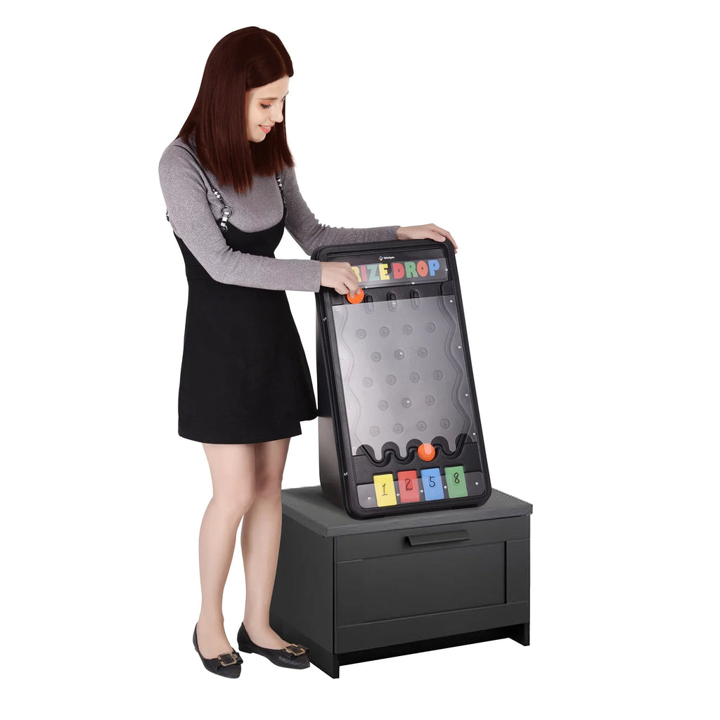 WinSpin Board Home Drop 25" Pucks Drop Tradeshow Prize w/20 Disk Game