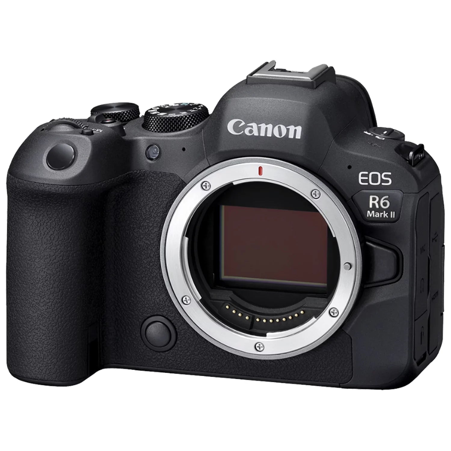 Card + II + Mirrorless Mark 24-105mm ZeeTech SanDisk + RF 75-300mm Canon Lens Bundle EF Accessory + LED Camera R6 with 64GB Flash EOS Memory + Case