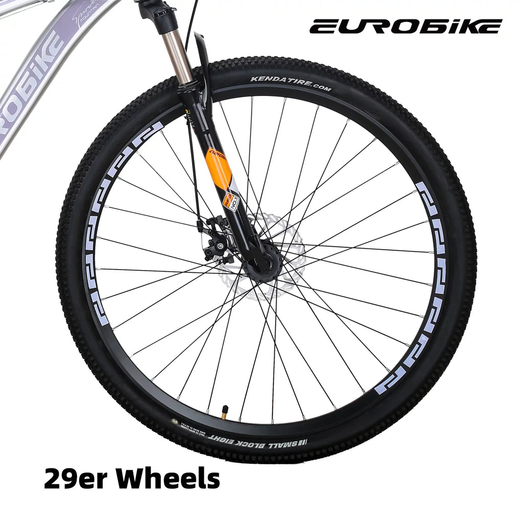 21 Speed,Dual Disc Eurobike Mountain Mountain Silver Mens 29 Adults Aluminum, Bicycle for 29er, 19 Bike, Multi-Spoke X9 inch Inches, Brakes, Bikes