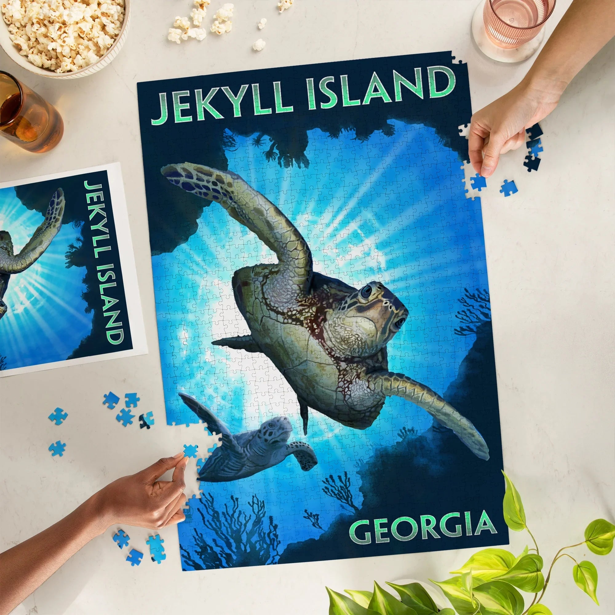 Puzzle, Turtle Jekyll Piece Island, Georgia, Diving Sea Jigsaw Press 1000 Lantern