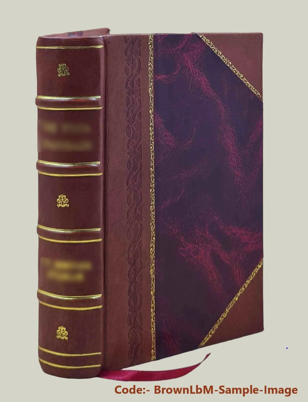 Volume Storia veronese, Giambatista trivigiana Verci 1791 e marca Bound] ... v.11-12 [Leather di della
