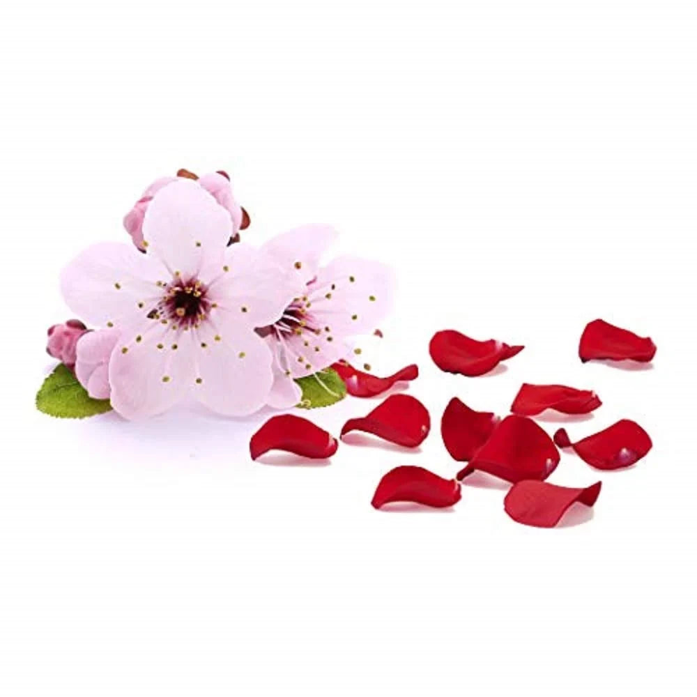 Free, GIOVANNI Hair Potion & Ultra (Pack Vera, Safe Super Hair, Paraben Blossom Smooths Aloe Curly 4 Rose Wavy 2chic of Silkening 3) oz. Cherry Petals, Serum, Luxurious Pro-Vitamin B5, Color &