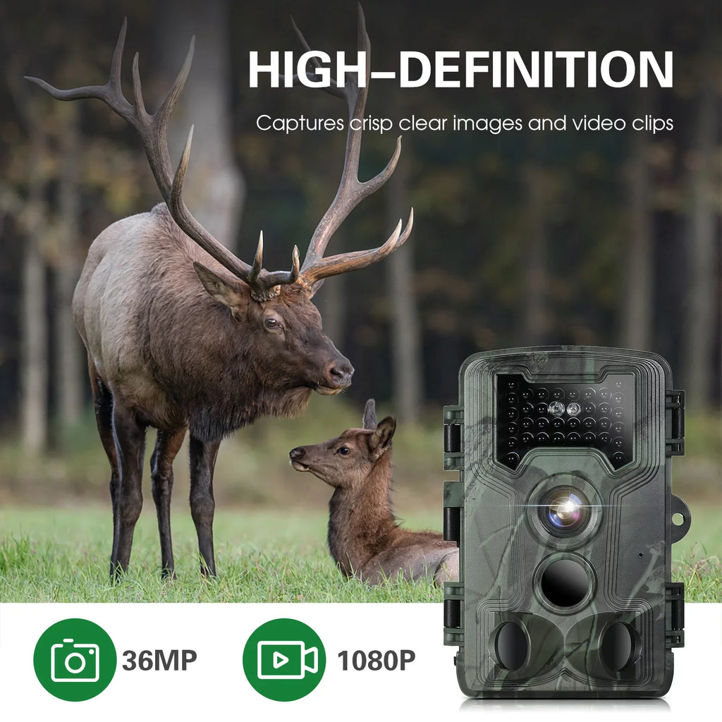 36MP for 1080P Wildlife with Game Lixada Camera Trail Waterproof Night Researching and IP66 Vision