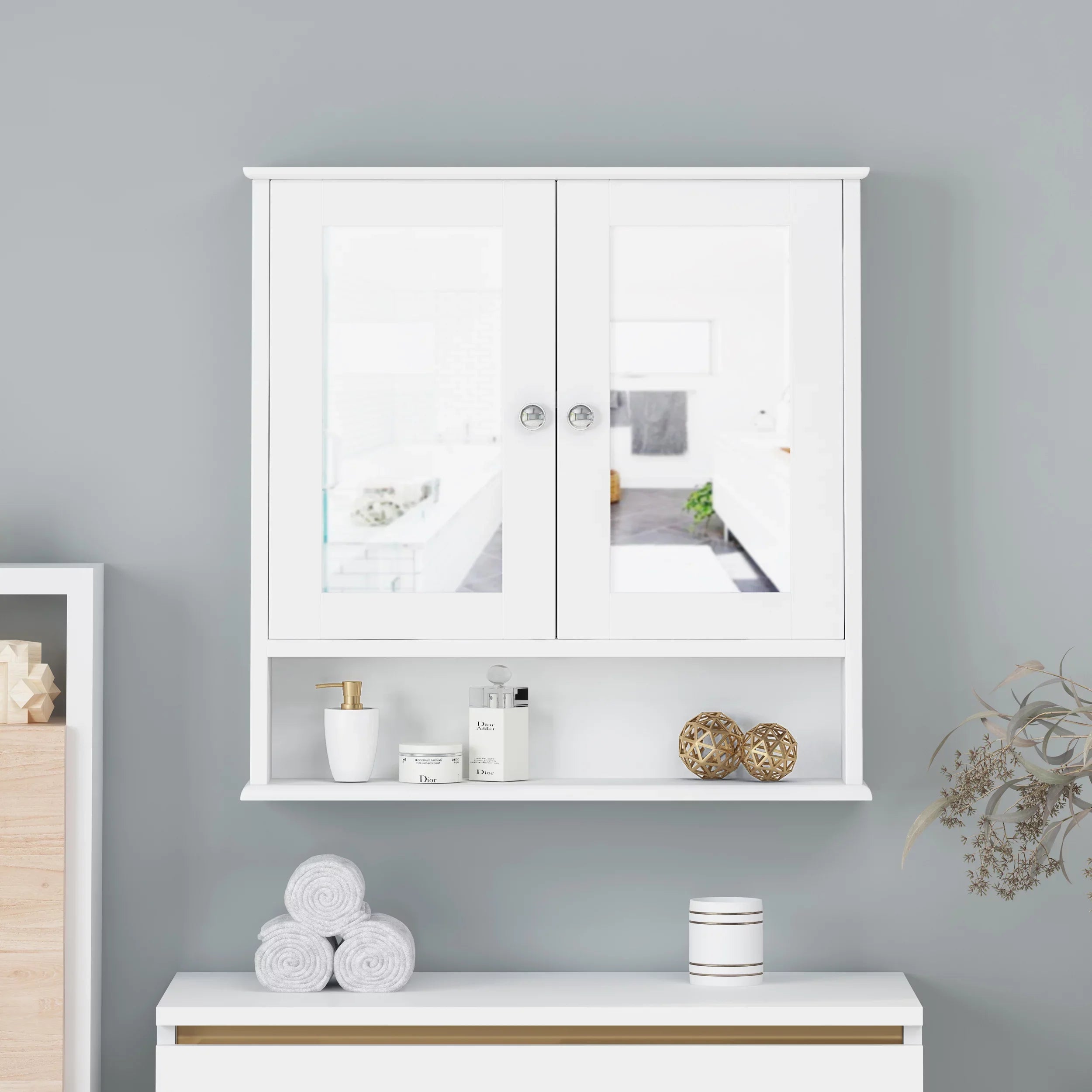 Matte Cabinet Mirrors, Blaze Door 2 Medicine Modern with White House Noble