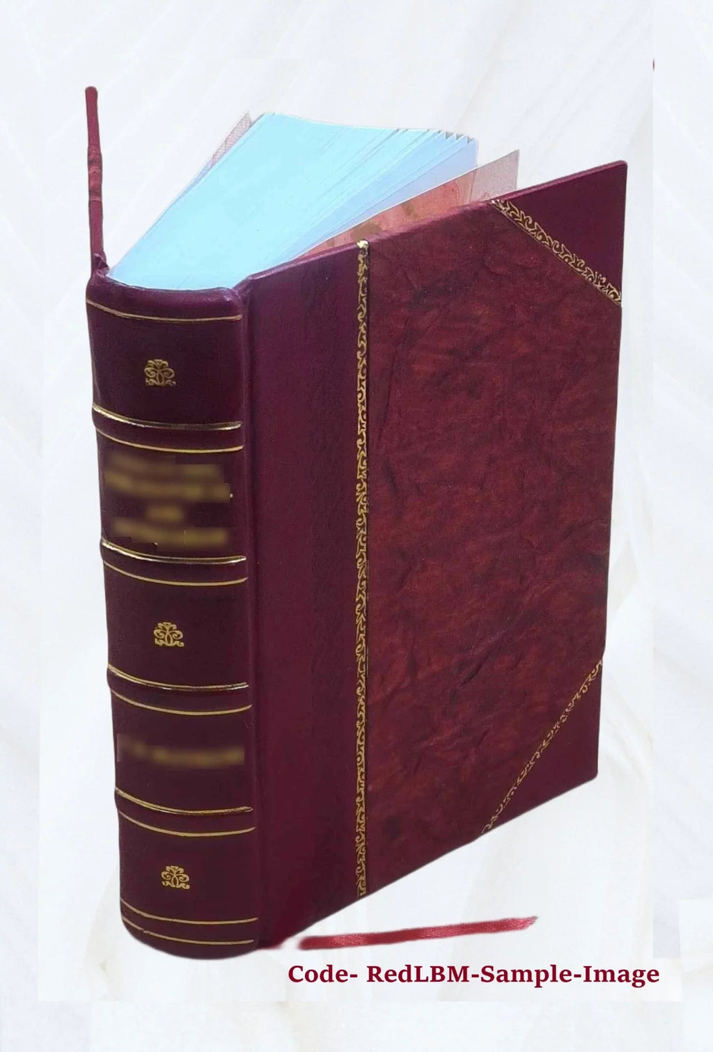 Volume Storia veronese, Giambatista trivigiana Verci 1791 e marca Bound] ... v.11-12 [Leather di della