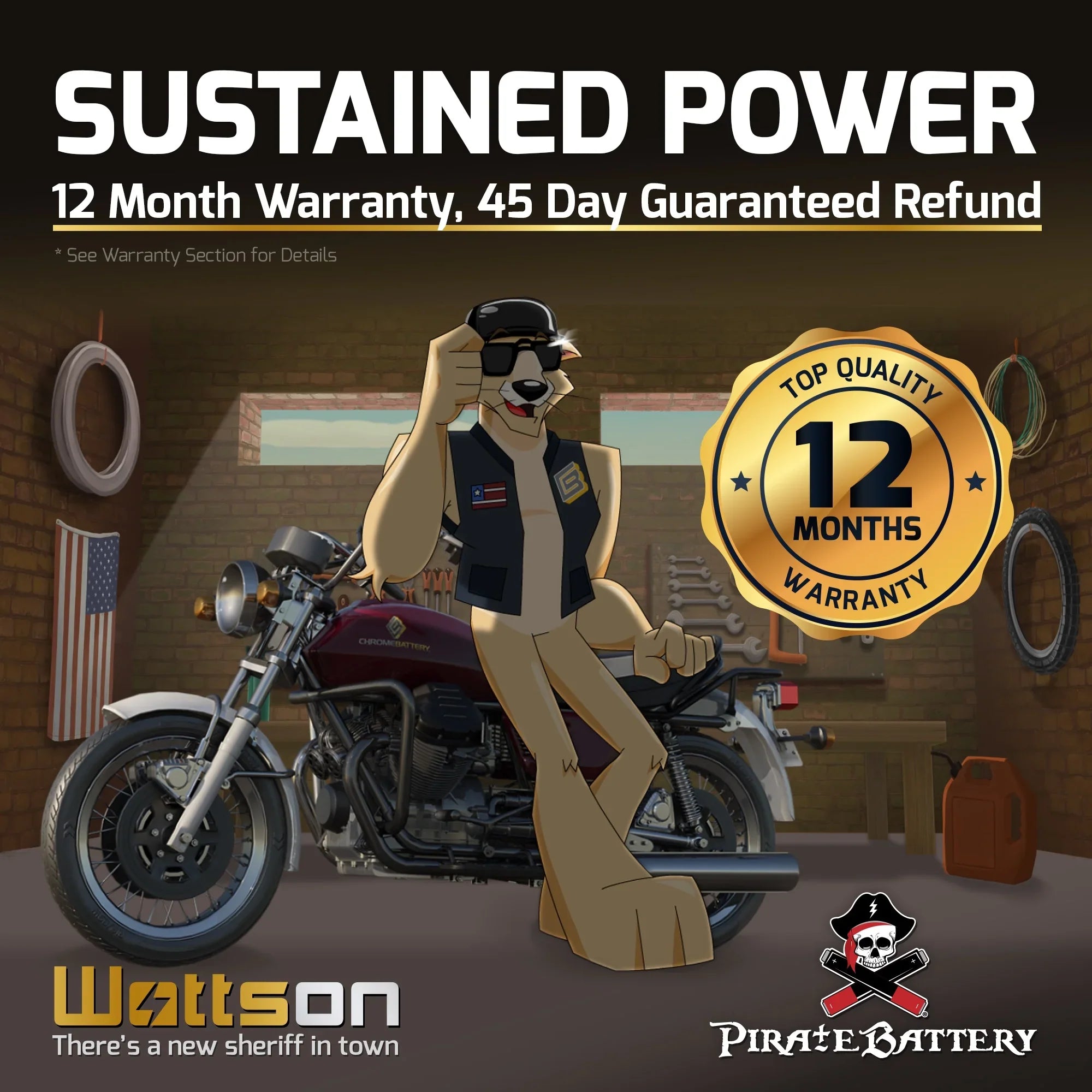 230 Ytx16l-bs for Battery Wave (16l-bs Runner Jet Pirate Battery Ski Cca) Volts,14 1993 12 Yamaha Ah,