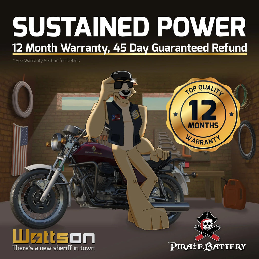 Battery Volt,14 Kawasaki Pirate YTX16L-BS Ski 230 Ah, CCA) X2 12 for 650cc (16L-BS Battery Jet 1993 Jf650