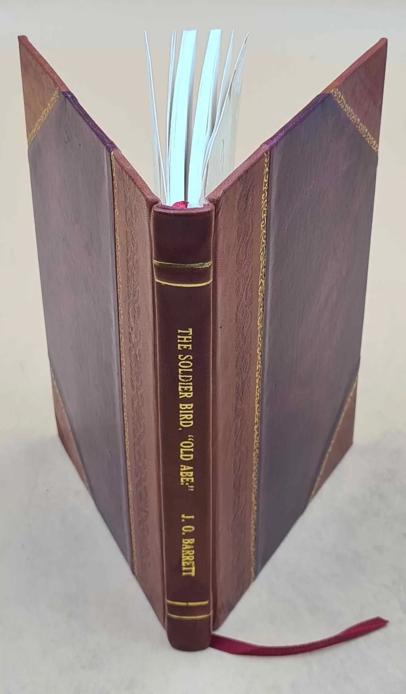 1876 "Old of years' three the live the J. in war that eagle By bird. served Barrett. rebellion. great campaign Wisconsin, [Leather a Abe": Bound] The soldier O.