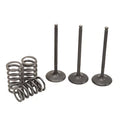 Kit X Valve/Spring Intake 2009-2018 YFZ450R Steel Pro Yamaha for