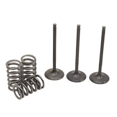 Kit X Valve/Spring Intake 2009-2018 YFZ450R Steel Pro Yamaha for