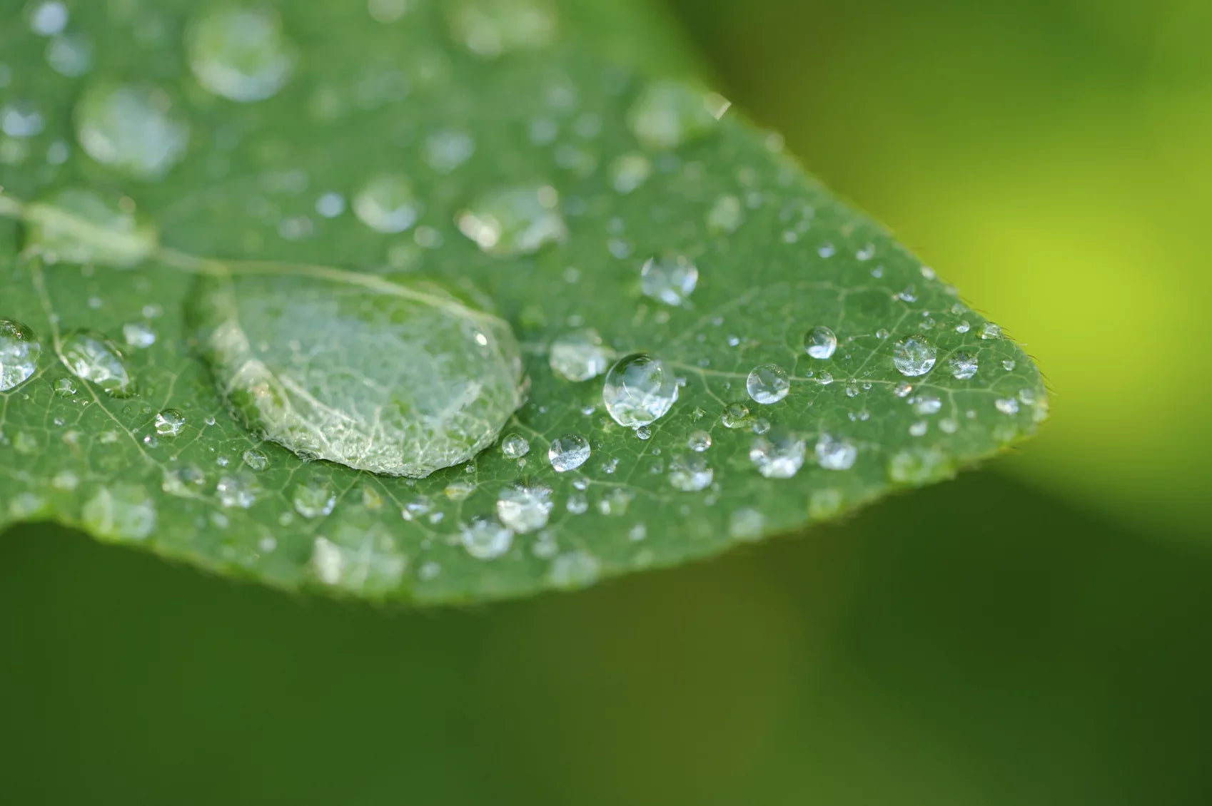 18-200mm Close-Up f/3.5-6.3 Definition 10x (67mm) Sony (Macro) Element High E-Mount 2 Lens