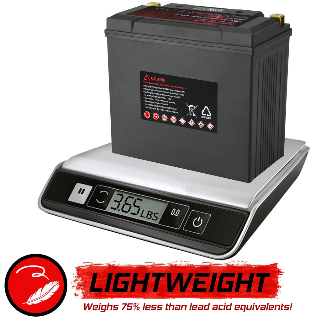 Compatible Touring Battery YTX20L-BS Victory 2002 Cruiser 2002 with Deluxe Motorsports to V92TC Banshee LiFePO4