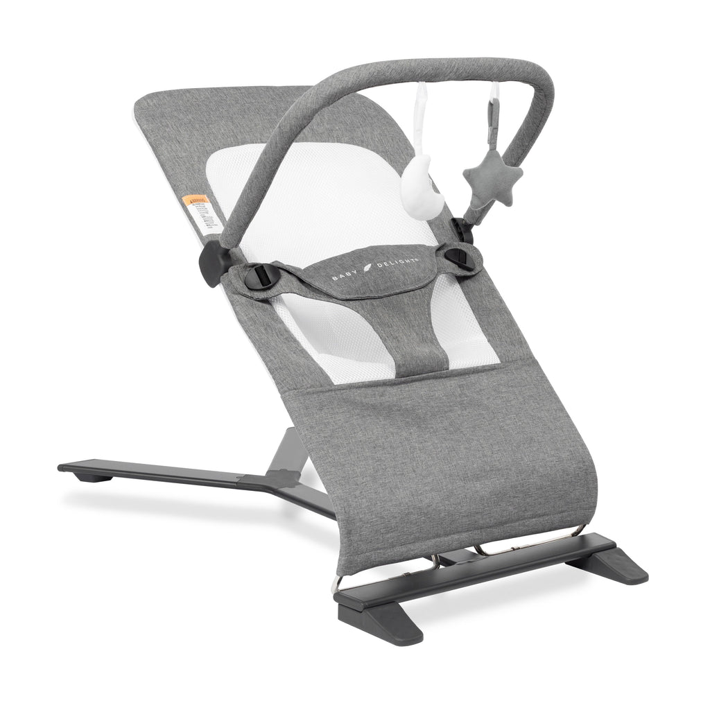 Charcoal Baby Months, Portable for 0-6 Delight Deluxe Baby Bouncer, Alpine Tweed Infants