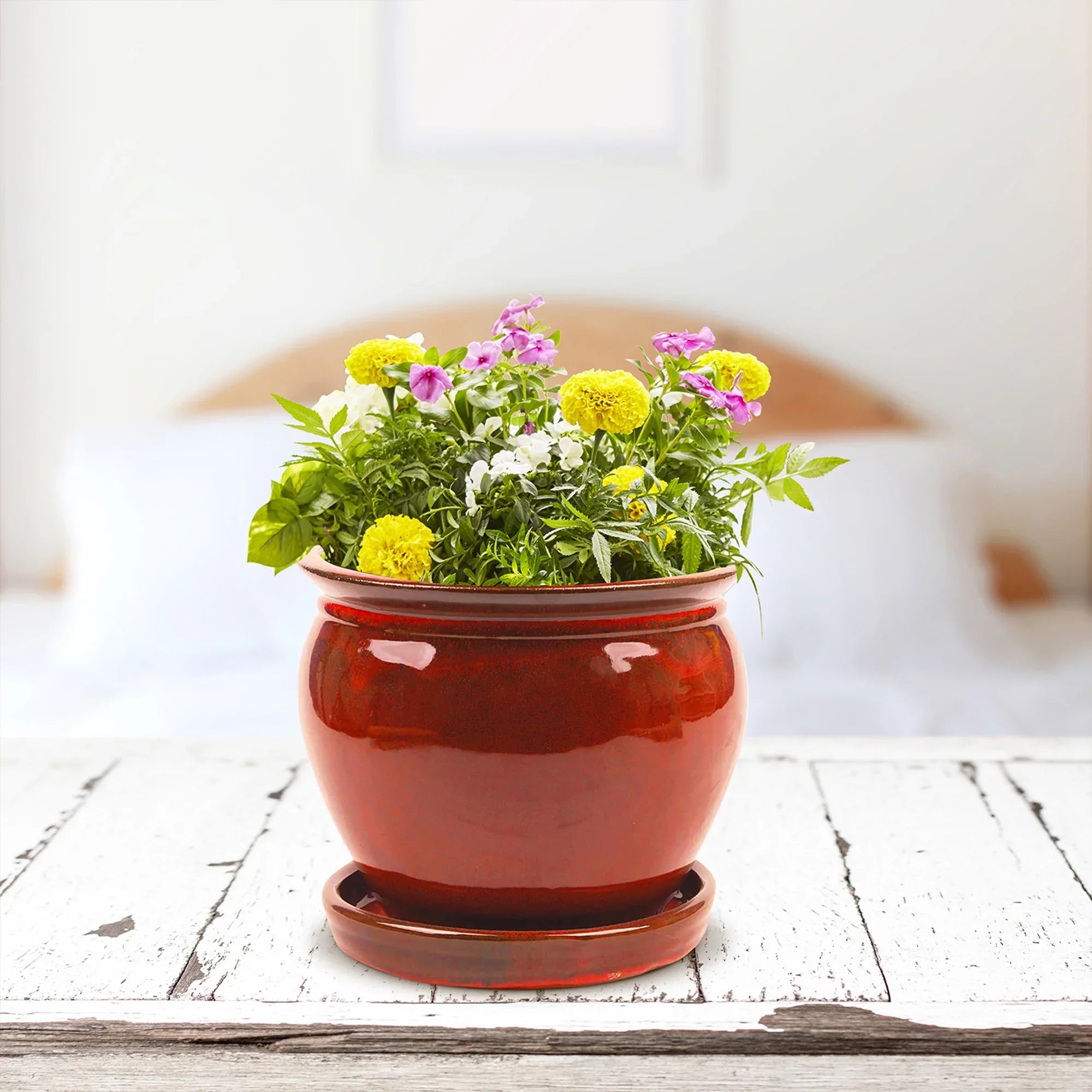 with Planter Saucer, Patio Wisteria 8" Round Pot (4 Pack) Southern Ceramic